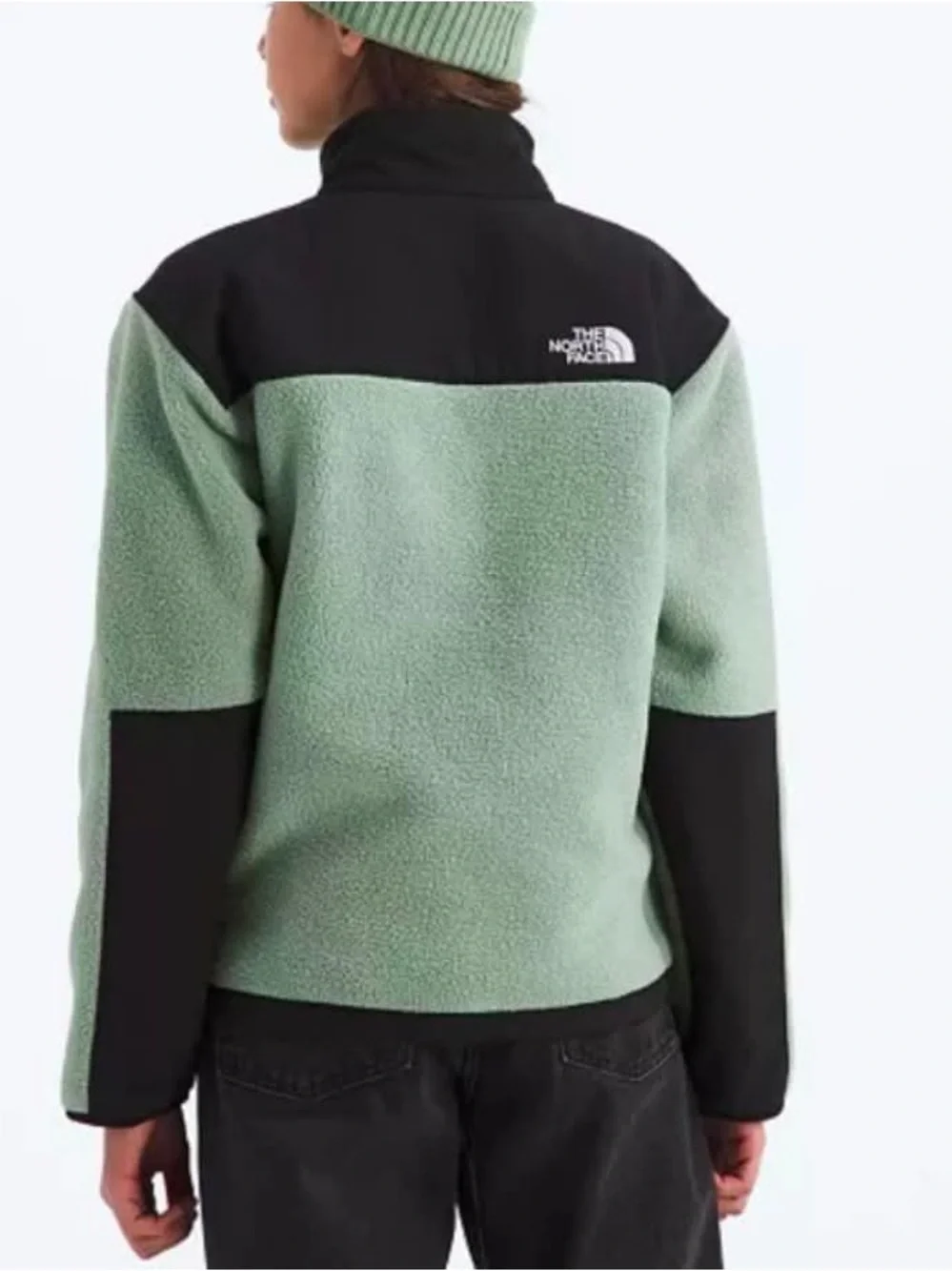 NWOT The North Face Big Boys' ( Teen / Adolescent) Denali Fleece Jacket Sz L(12)